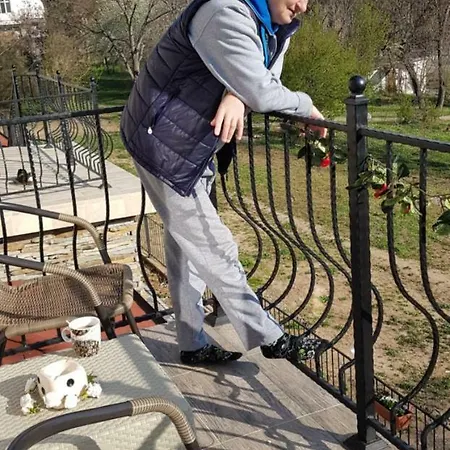 долината на вълчицата The Wolf Penzion *